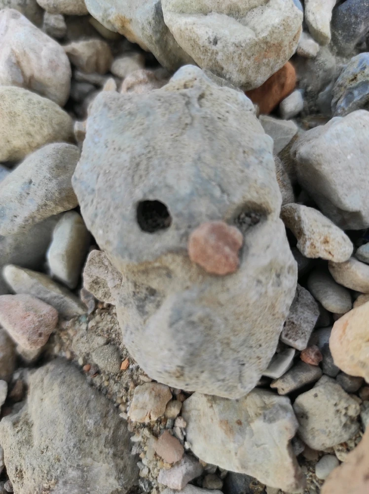 Immagine caricata da Cri