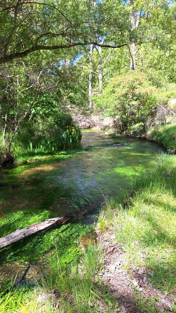 Imagen subida por Alberto