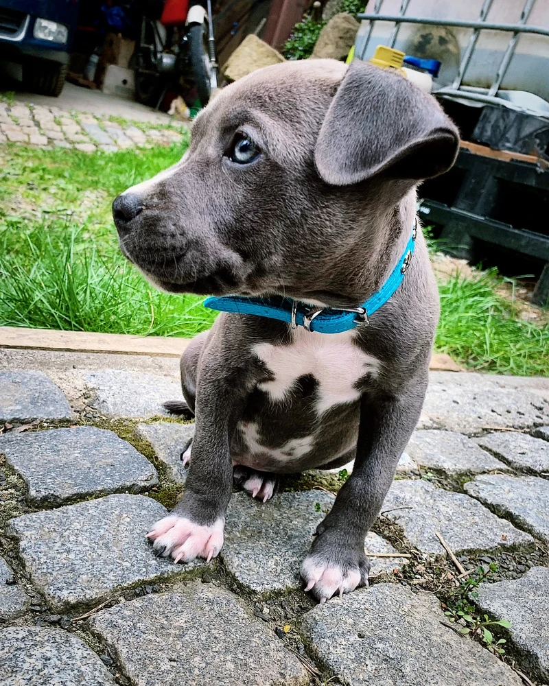 Obrázek nahrál Petr