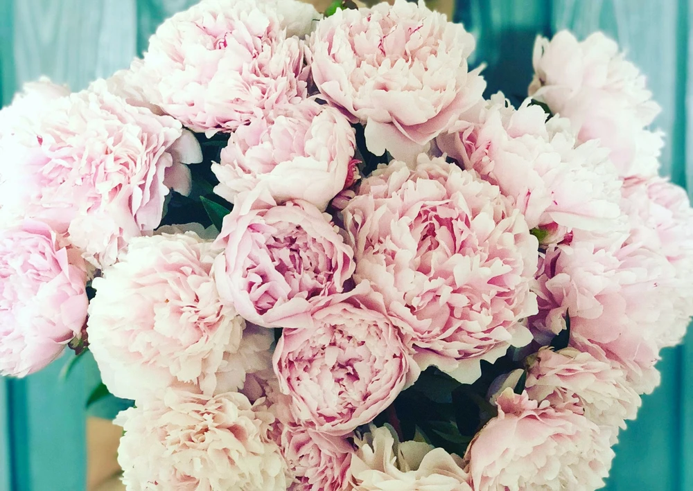 由PinkPeony上传的图片