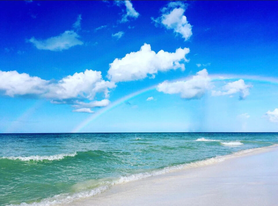 Image uploaded by Lyli