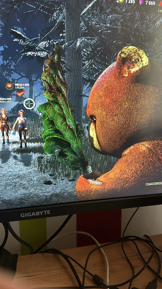 Bild hochgeladen von Gerry