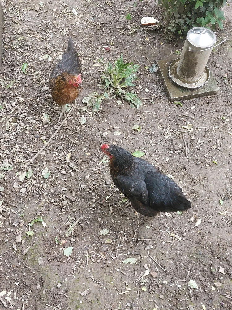 Image ajoutée par Chloé