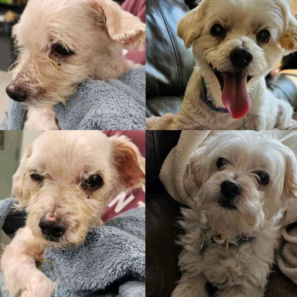 Image uploaded by Will