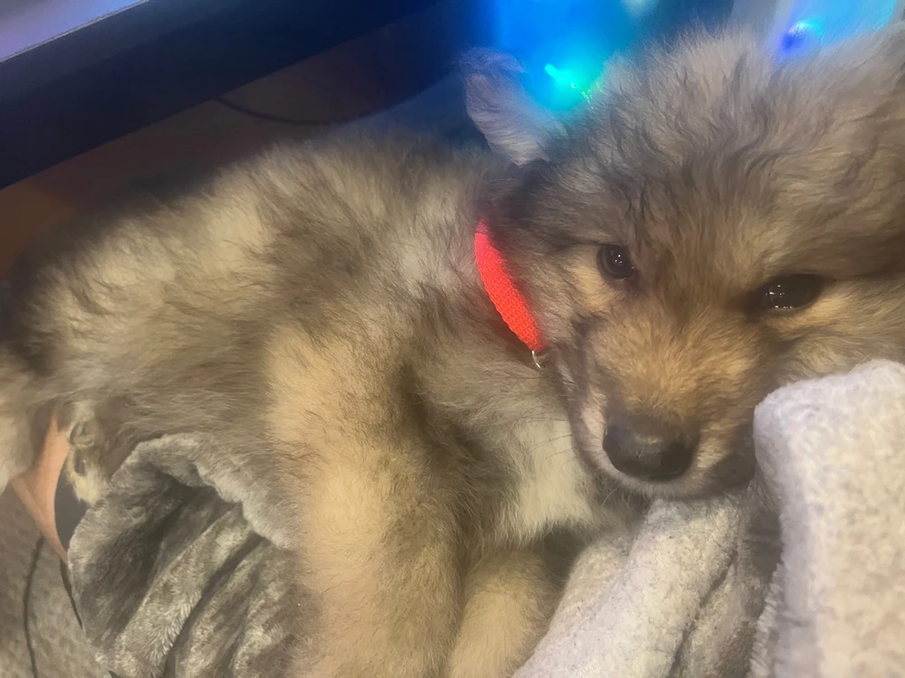 Image uploaded by Calvin