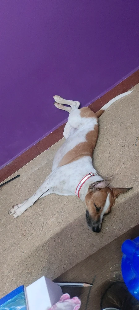 Image uploaded by Monalisha Francis