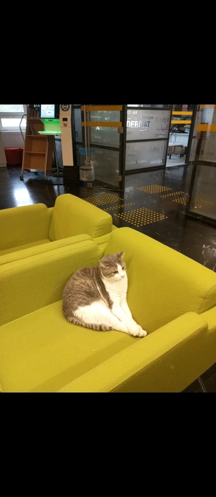 Can tarafından yüklenen görsel