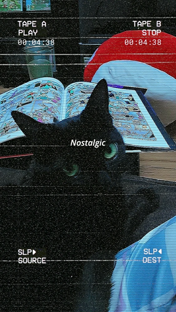 Image ajoutée par Loly