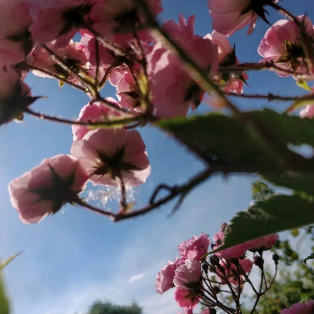 Фото загрузил Daniel