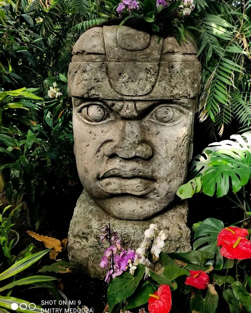 Image uploaded by 🌠 Dmitry 🌌