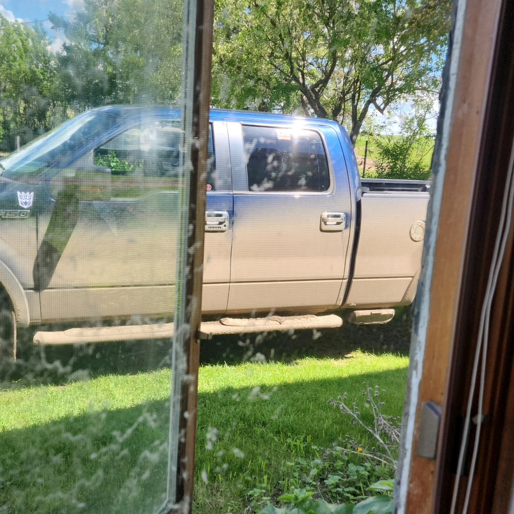 Image uploaded by 12pawsinn