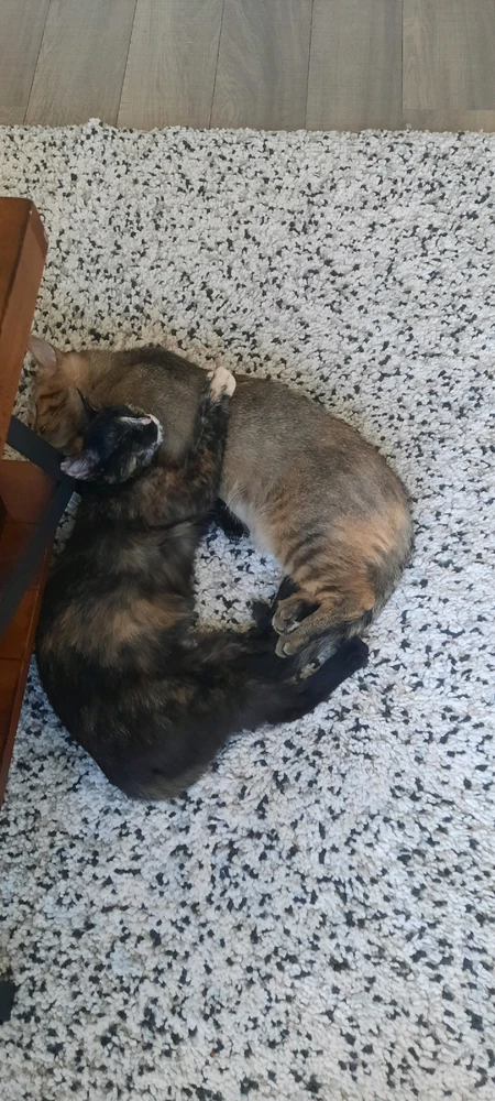 Image uploaded by Skylar