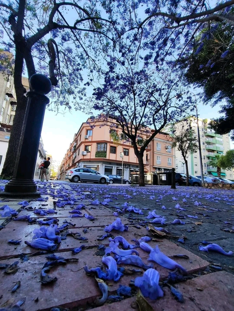 Imagen subida por Marcos