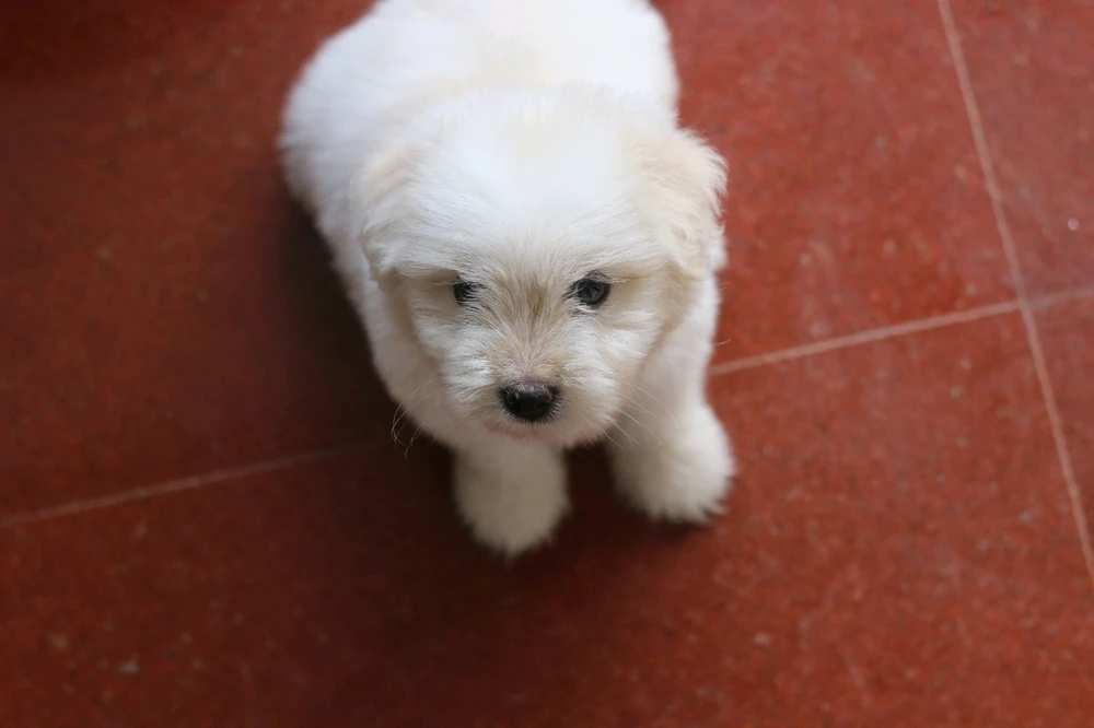 Dheeraj അപ്ലോഡ് ചെയ്ത ചിത്രം