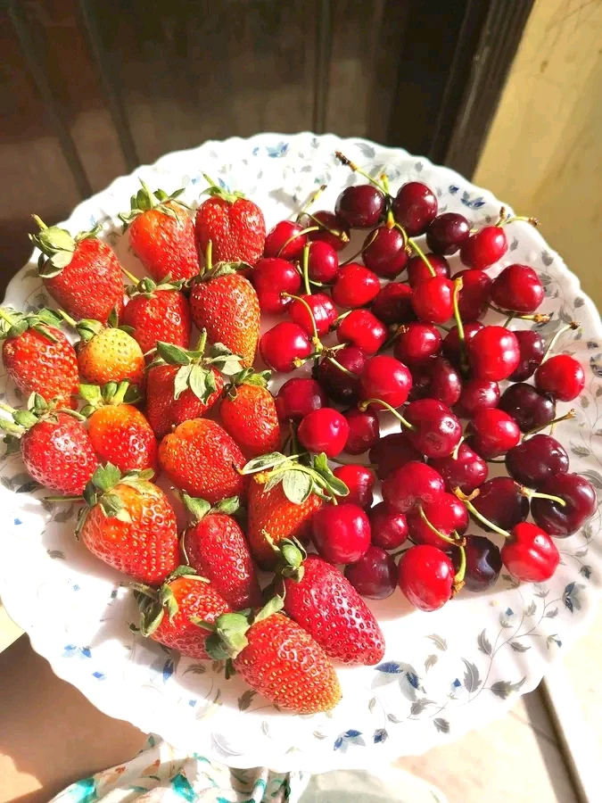 Image uploaded by Tanwi