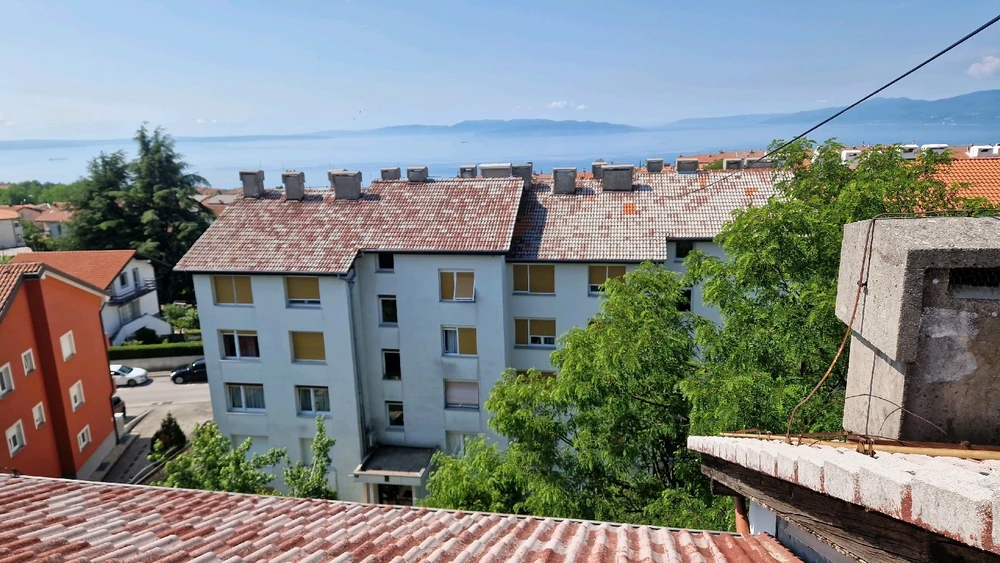 Image uploaded by Mario