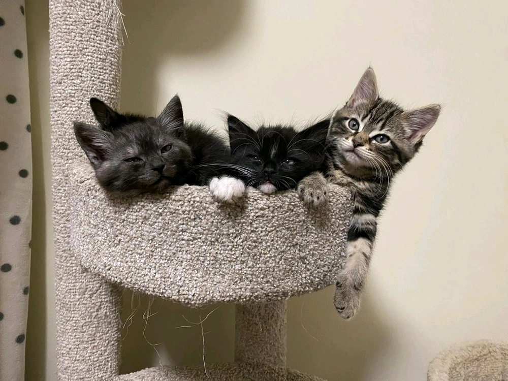 Image uploaded by Skylar