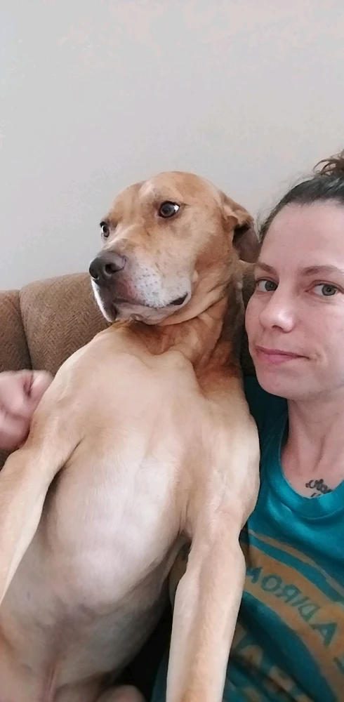 Image uploaded by Stephanie