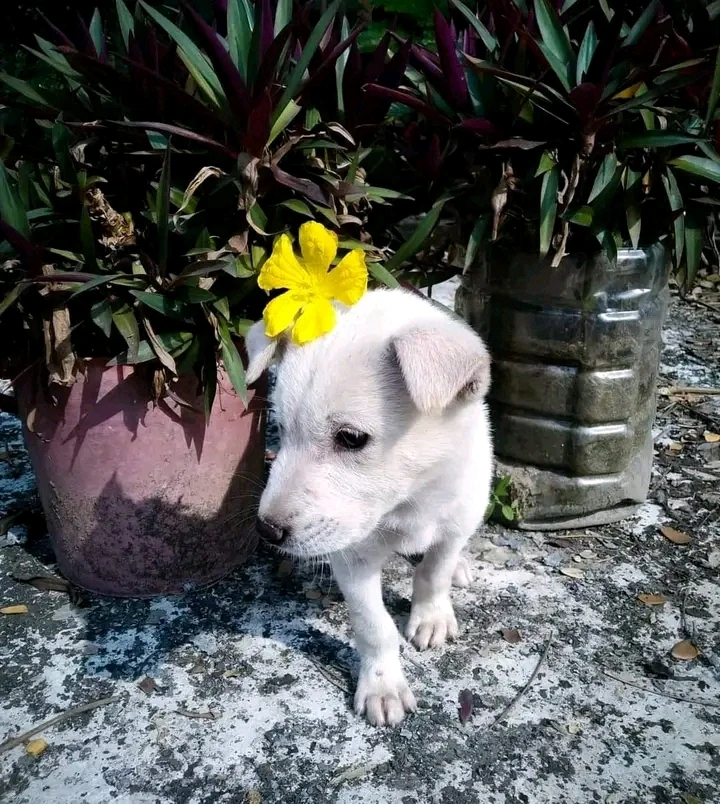 Image uploaded by Tanwi