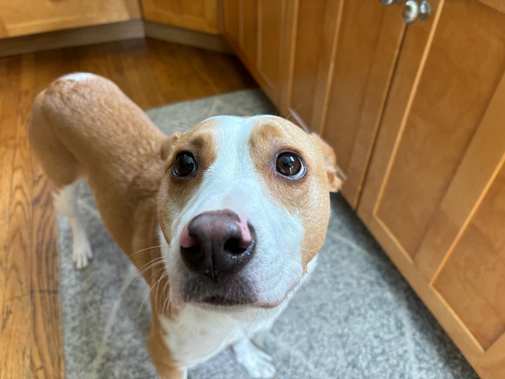 Image uploaded by Bella