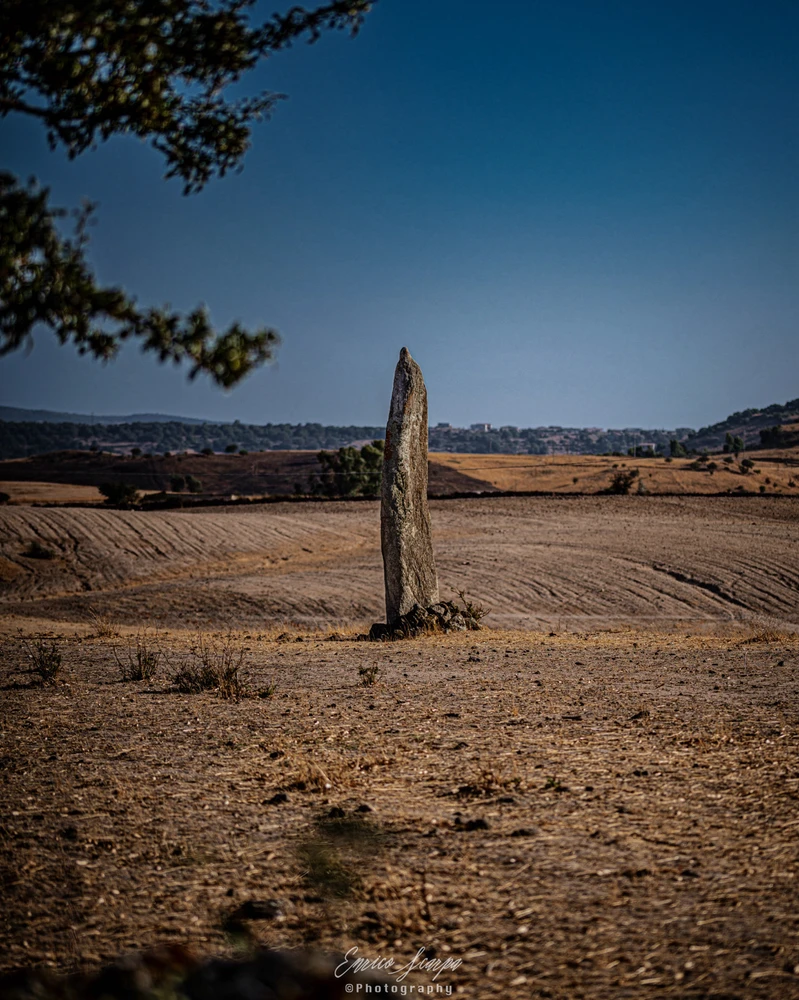 Image uploaded by Enrico