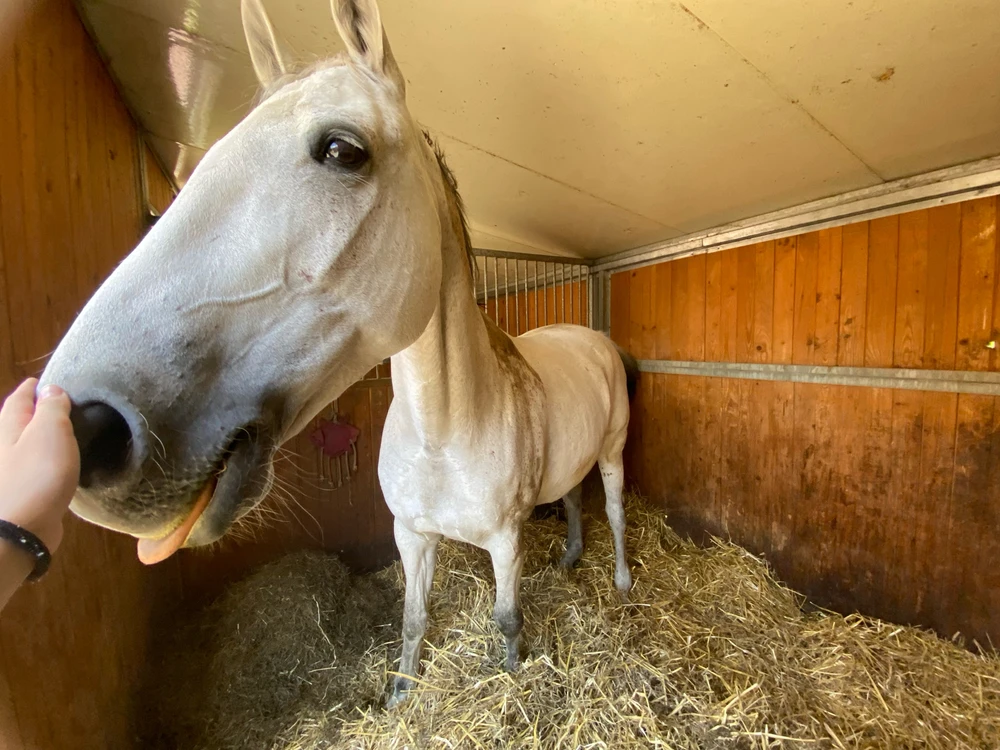 Obrázek nahrál Jasmína