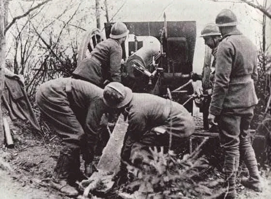 Image uploaded by Erik Thackrey