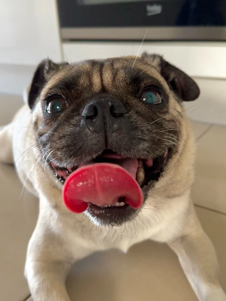 Image uploaded by Isaac