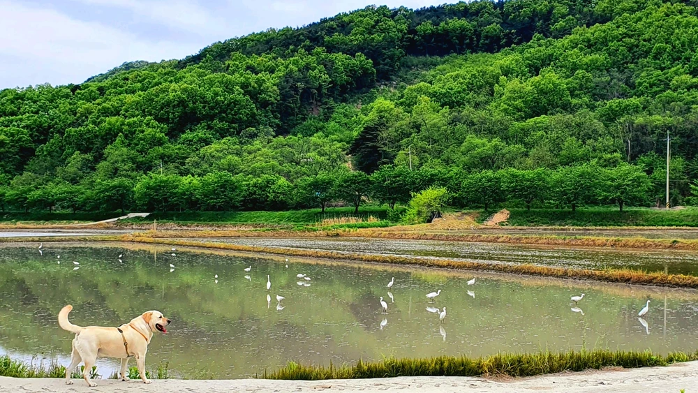 Gambar diunggah dening Leo