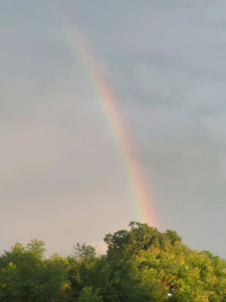 Obrázek nahrál Táňa