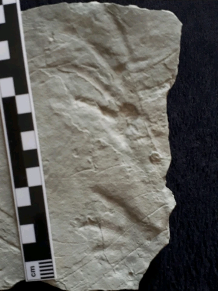 Bild hochgeladen von Herbert = ᚺᛖᚱᛒᛖᚱᛏ