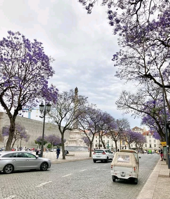 Gambar diunggah oleh Lovely Purple