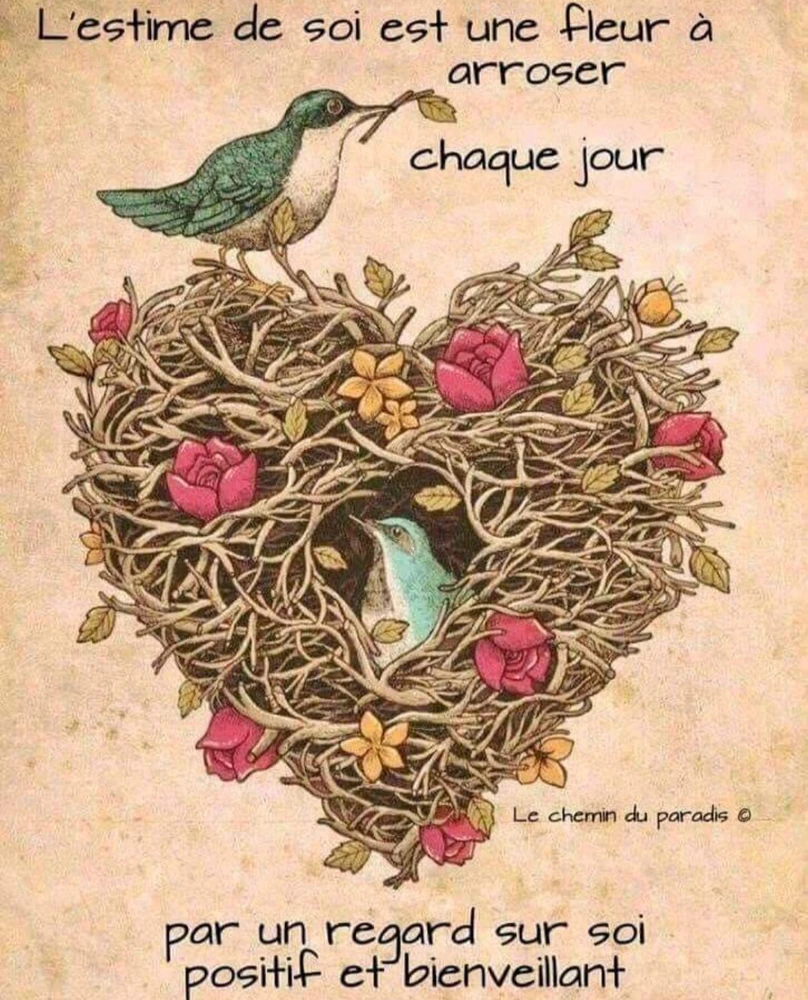 Image ajoutée par Mu 🌿