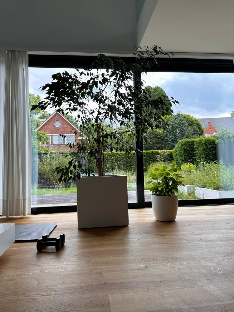 Afbeelding geüpload door Jan