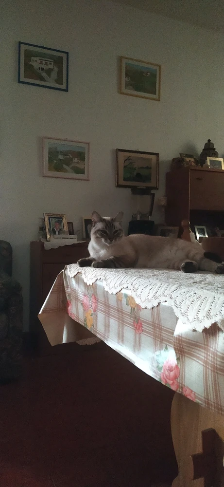 Immagine caricata da Nanaki