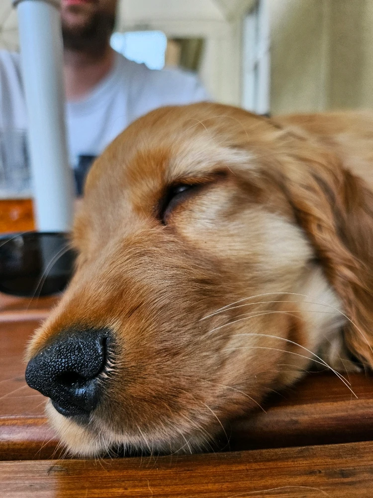 Obrázek nahrál Denny