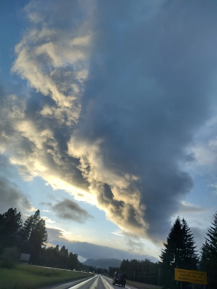 Image uploaded by Kerry