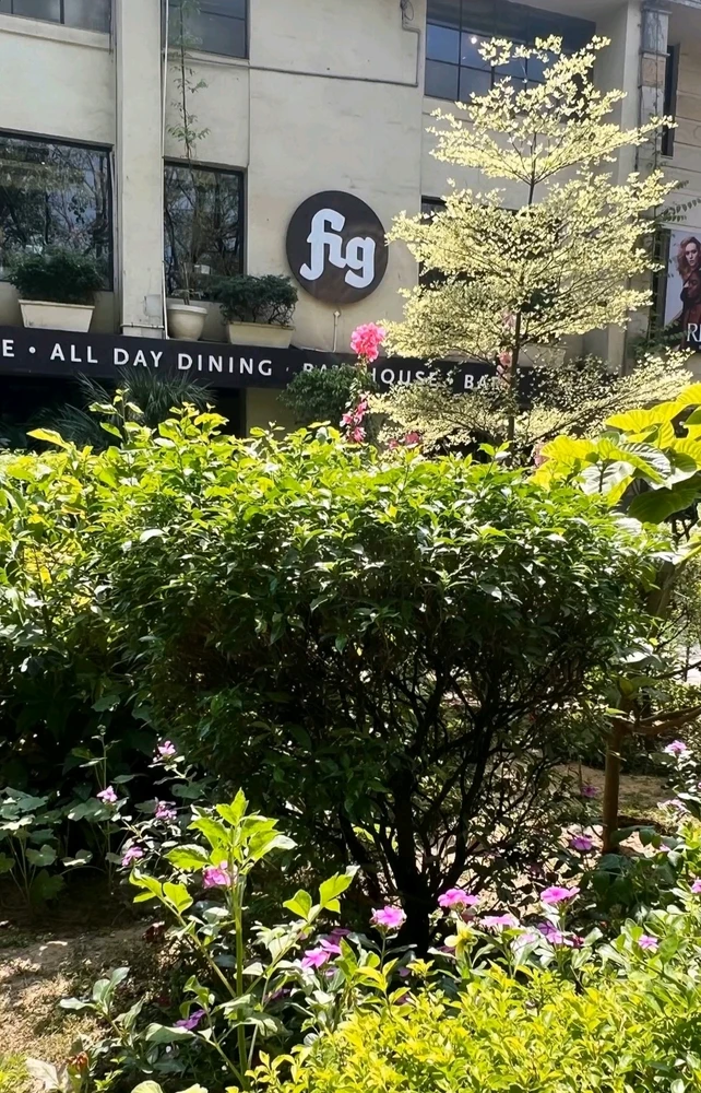 Image uploaded by shivam goyal