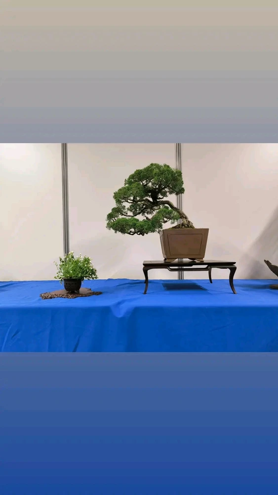 Image ajoutée par Alexeu