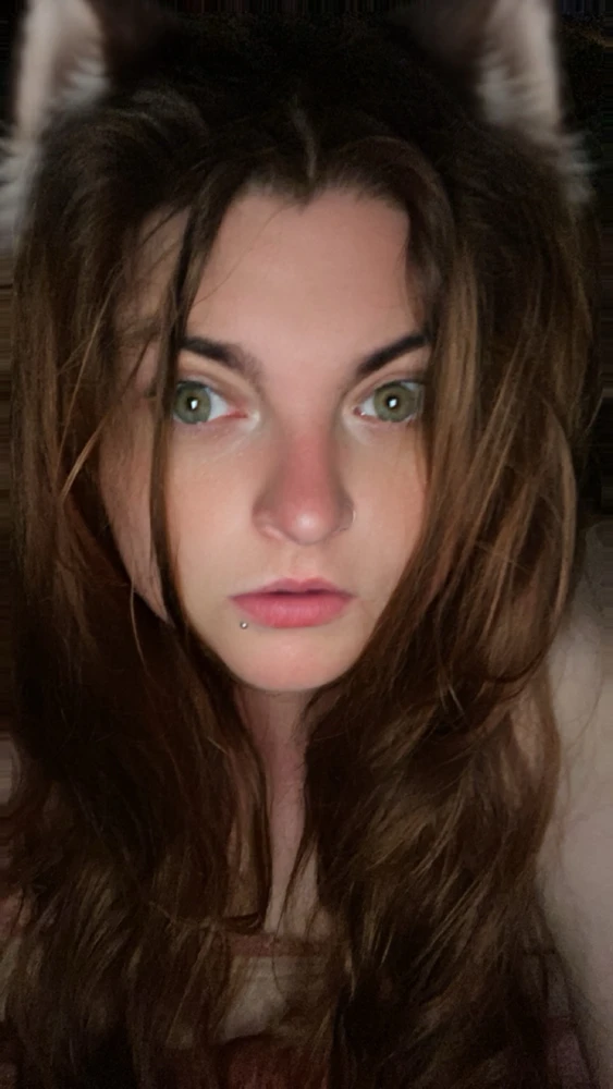 Image uploaded by Arctic