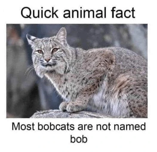 Zdjęcie dodane przez Damian