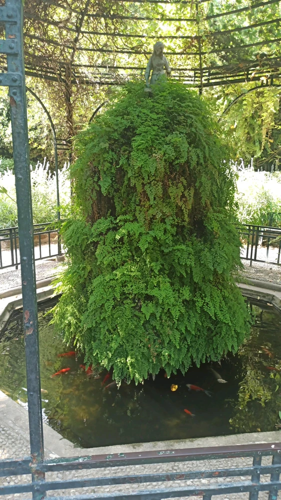 Image uploaded by Gökhan
