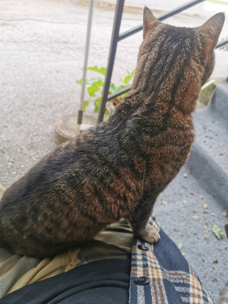 Gambar diunggah oleh Fjalar