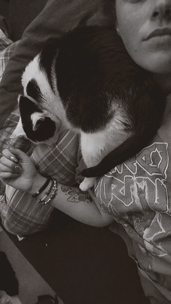 Obrázek nahrál Švadlena kytaristka