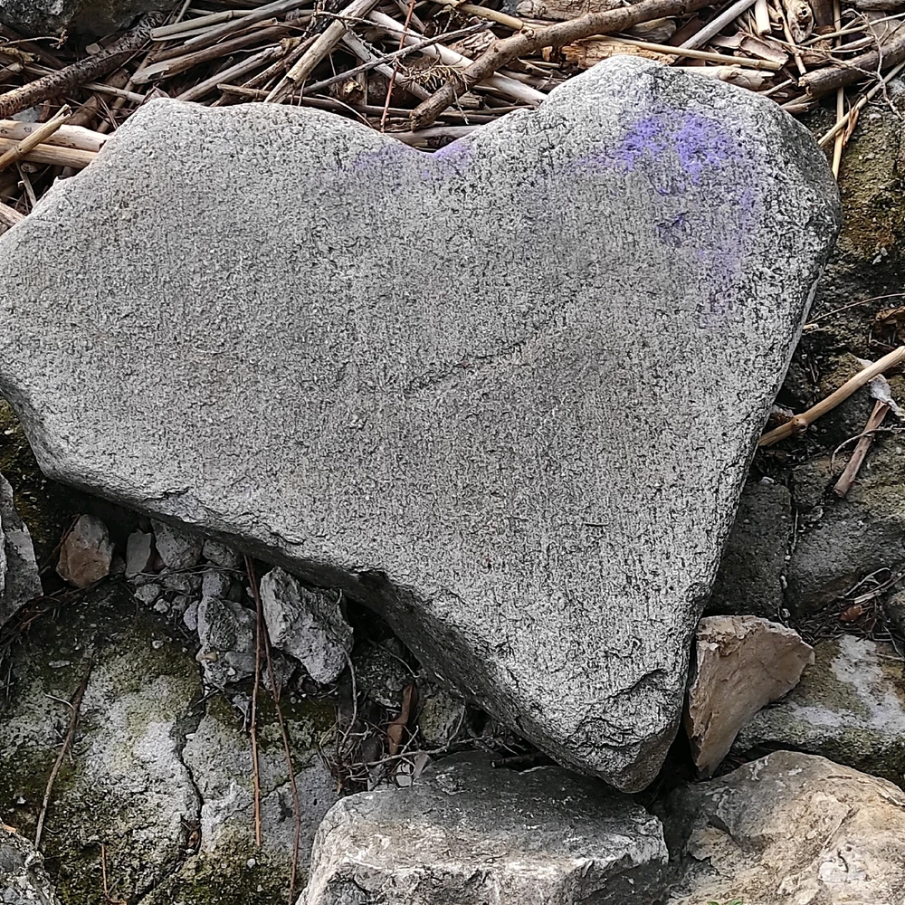 Immagine caricata da Cri