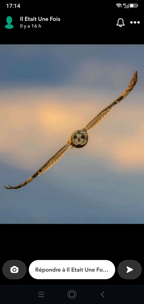 Image ajoutée par Héraclès