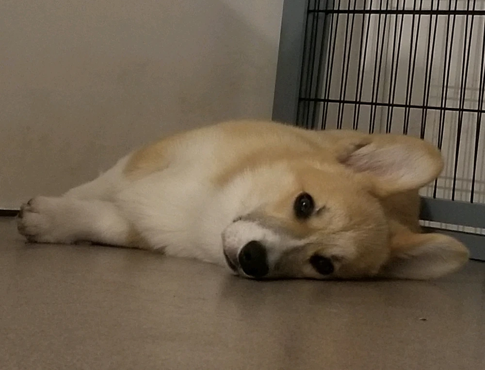 Image ajoutée par Marc