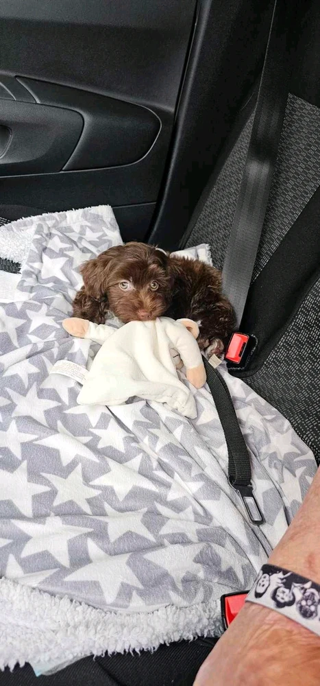 Luna által feltöltött kép