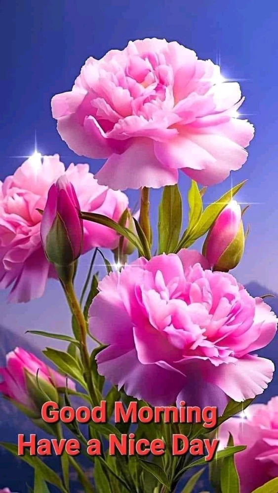 Image uploaded by Khan Sahab