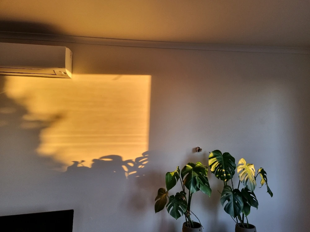 Image uploaded by Tanzi